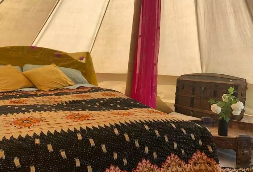 Hotelli Wild Orchid Bell Tent In The Broads National Park
