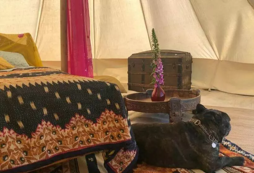 Hotelli Wild Orchid Bell Tent In The Broads National Park