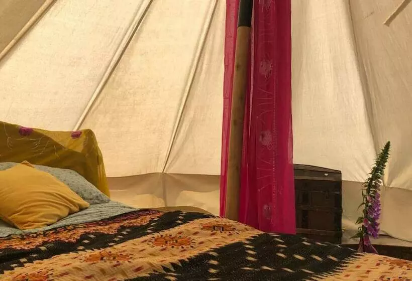 Hotelli Wild Orchid Bell Tent In The Broads National Park