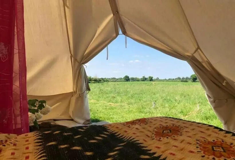Hotelli Wild Orchid Bell Tent In The Broads National Park