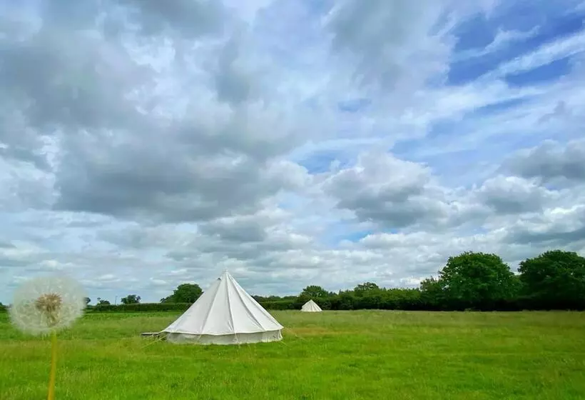 Hotelli Wild Orchid Bell Tent In The Broads National Park
