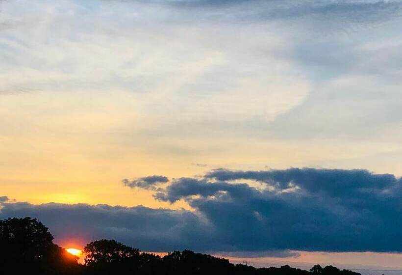 Отель Wild Orchid Bell Tent In The Broads National Park