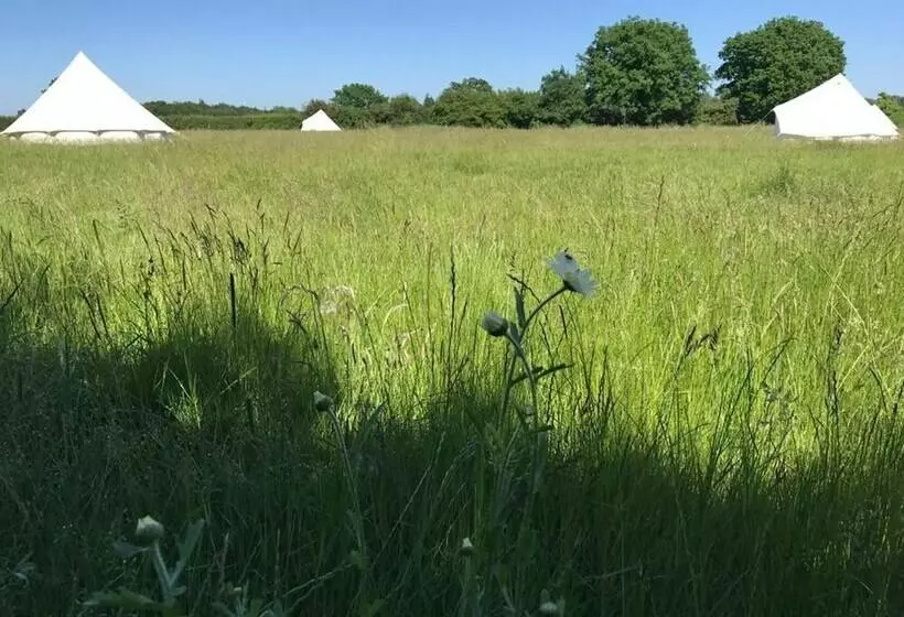 Hotelli Wild Orchid Bell Tent In The Broads National Park