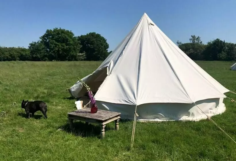 Hotelli Wild Orchid Bell Tent In The Broads National Park