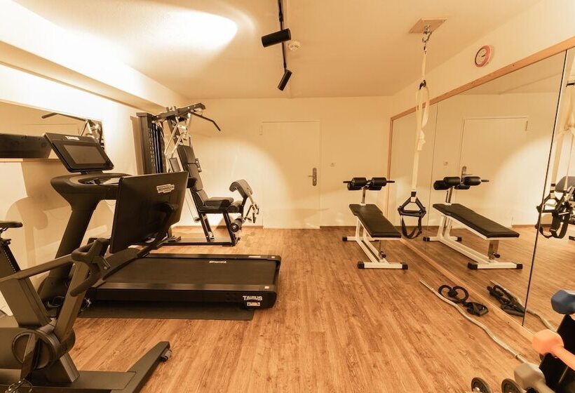 Aparthotel Dorfplatzl Garni