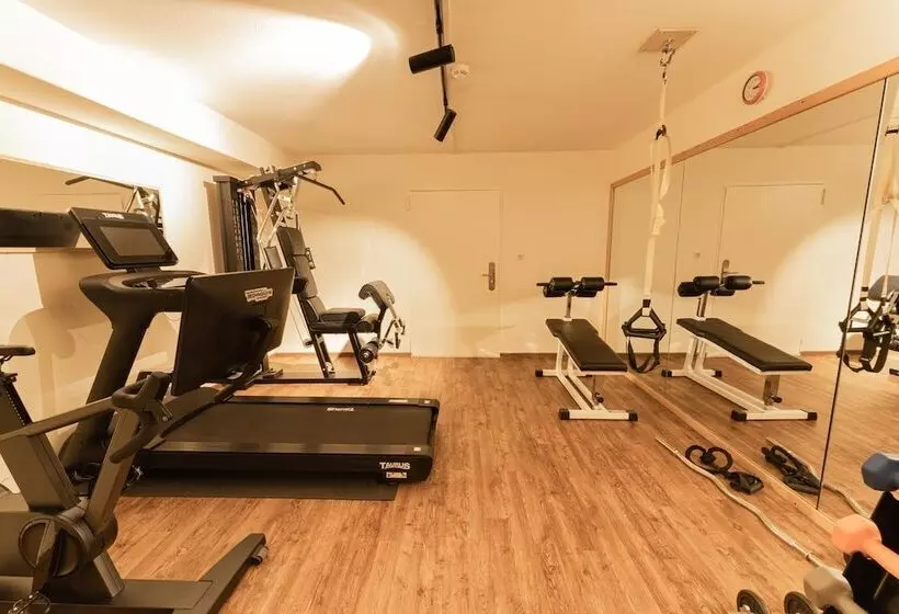 Aparthotel Dorfplatzl Garni