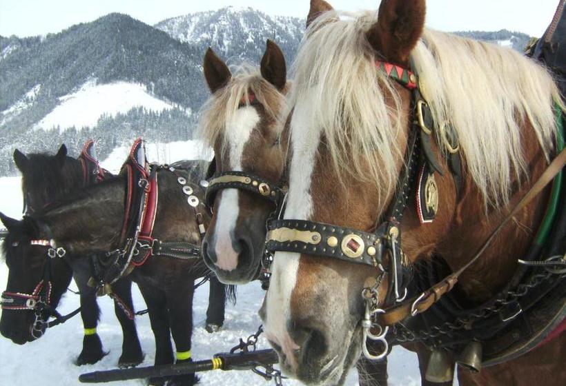 Bio Bauernhof Vorderoberlehen