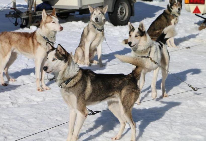 Bio Bauernhof Vorderoberlehen