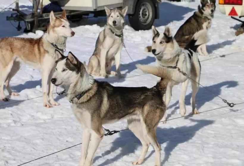 Bio Bauernhof Vorderoberlehen