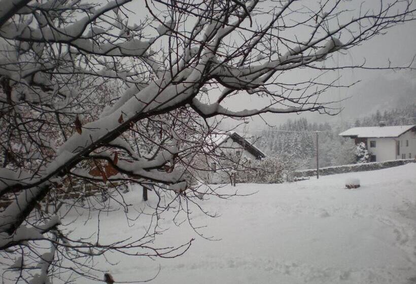 Bed and Breakfast Pension Anderla