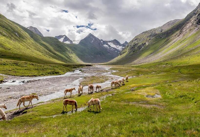 צימר Pension Michael