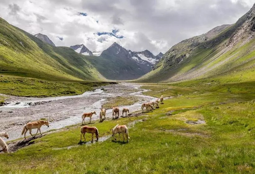 Bed and Breakfast Pension Michael