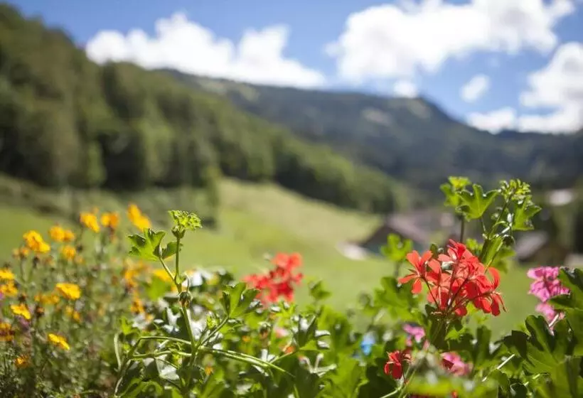 Bio Bauernhof Vordergrubenbach   Familie Oberascher