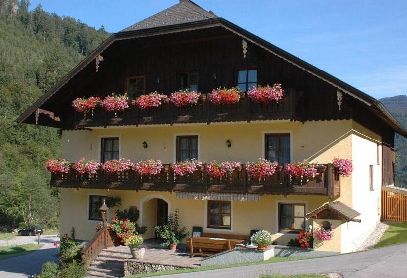 Bio Bauernhof Vordergrubenbach Familie Oberascher