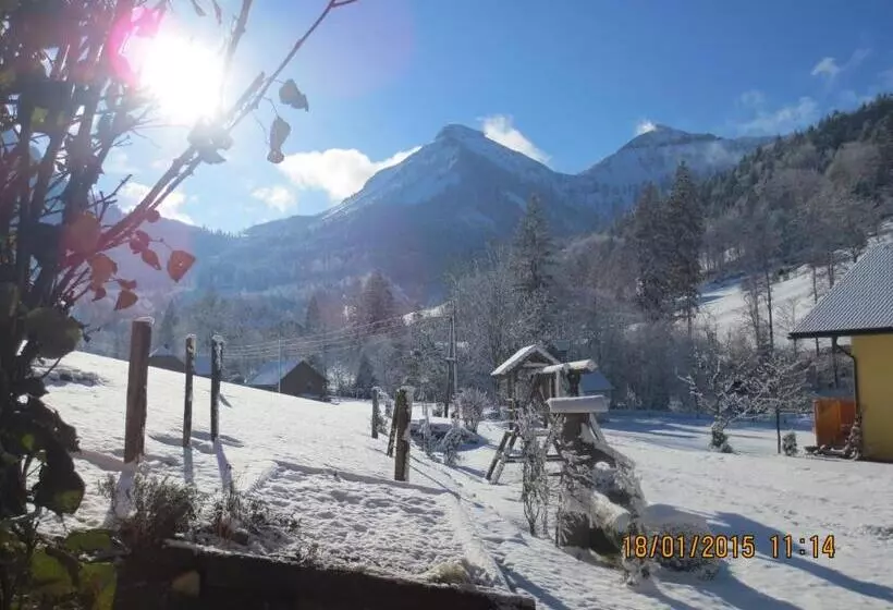 Bio Bauernhof Vordergrubenbach   Familie Oberascher