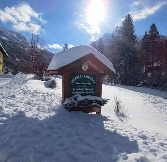 Bio Bauernhof Vordergrubenbach   Familie Oberascher