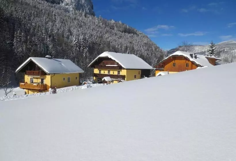 Bio Bauernhof Vordergrubenbach   Familie Oberascher
