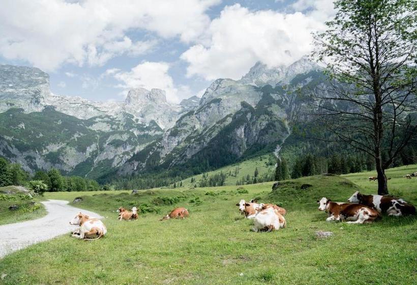 Bio Bauernhof Vorderoberlehen