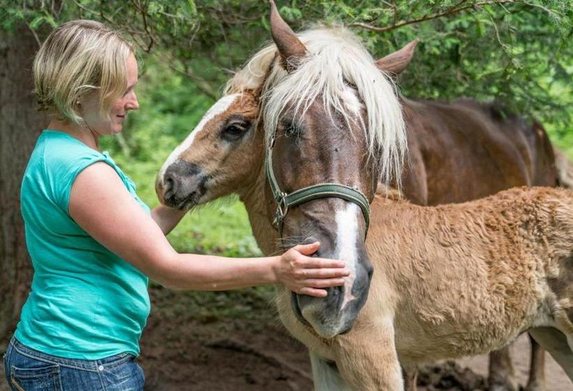 Bio Bauernhof Vorderoberlehen