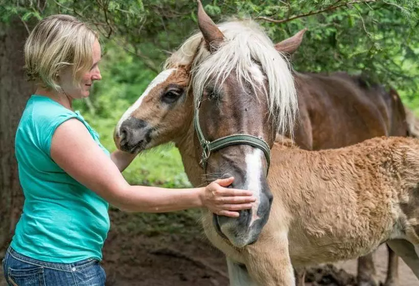 Bio Bauernhof Vorderoberlehen