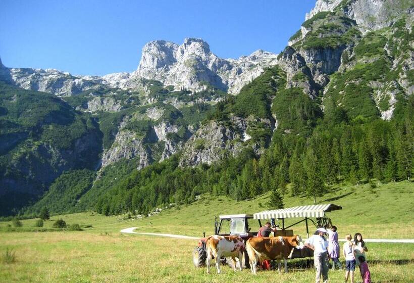 Bio Bauernhof Vorderoberlehen