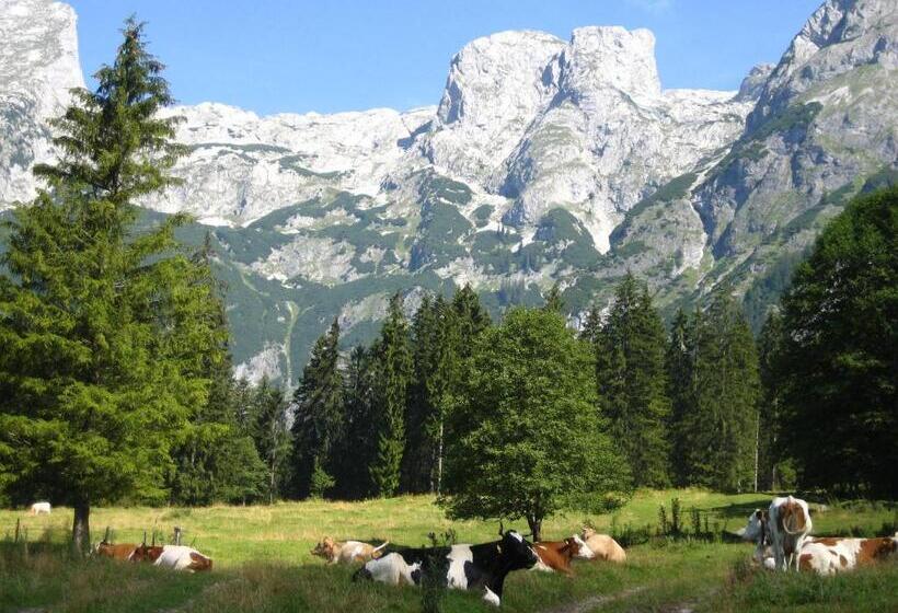 Bio Bauernhof Vorderoberlehen