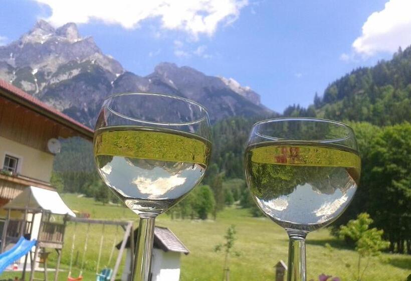 Bio Bauernhof Vorderoberlehen