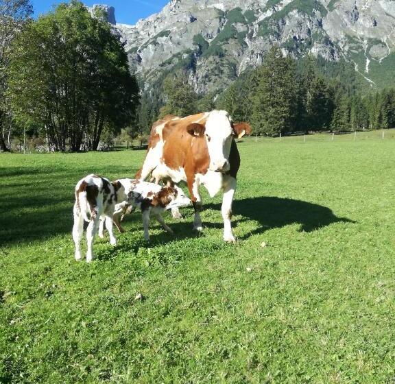 Bio Bauernhof Vorderoberlehen