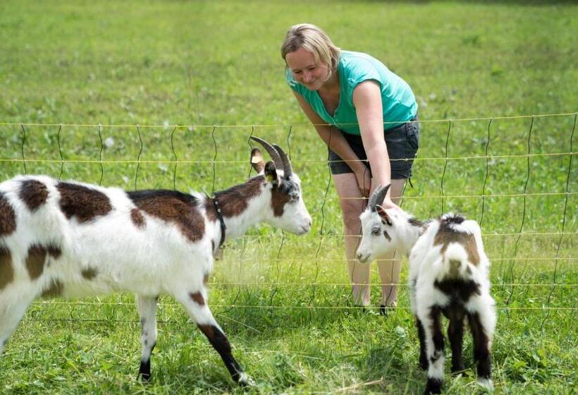 Bio Bauernhof Vorderoberlehen