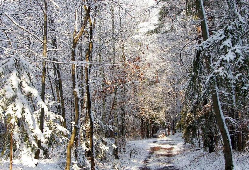 Boutique Hotel Loipenhof