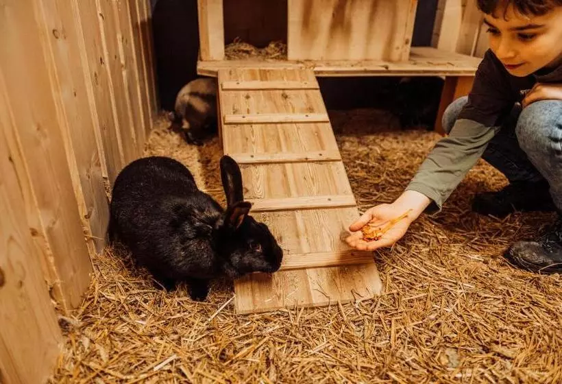 Erlebnisgut & Reiterhof Oberhabach