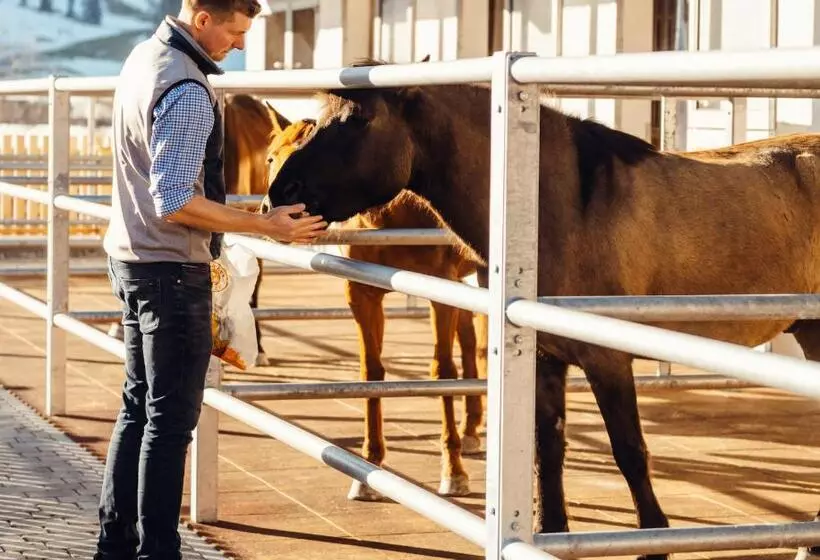 Erlebnisgut & Reiterhof Oberhabach