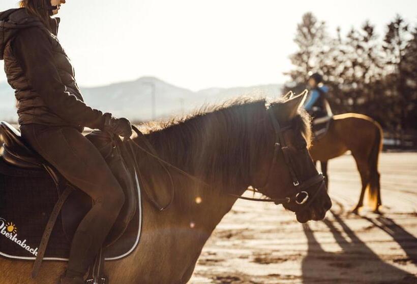 Erlebnisgut & Reiterhof Oberhabach