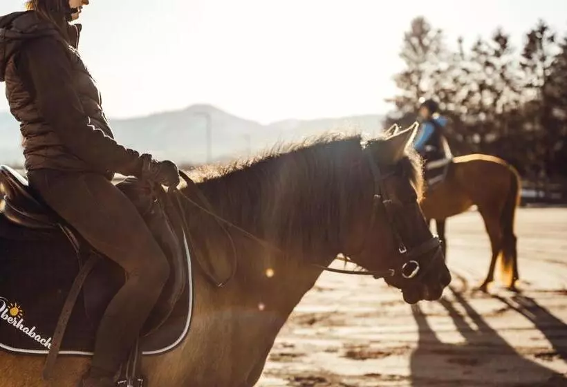 Erlebnisgut & Reiterhof Oberhabach