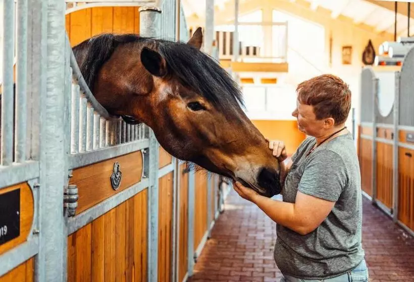 Erlebnisgut & Reiterhof Oberhabach