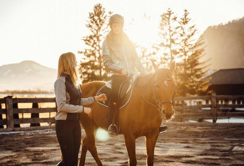 Erlebnisgut & Reiterhof Oberhabach