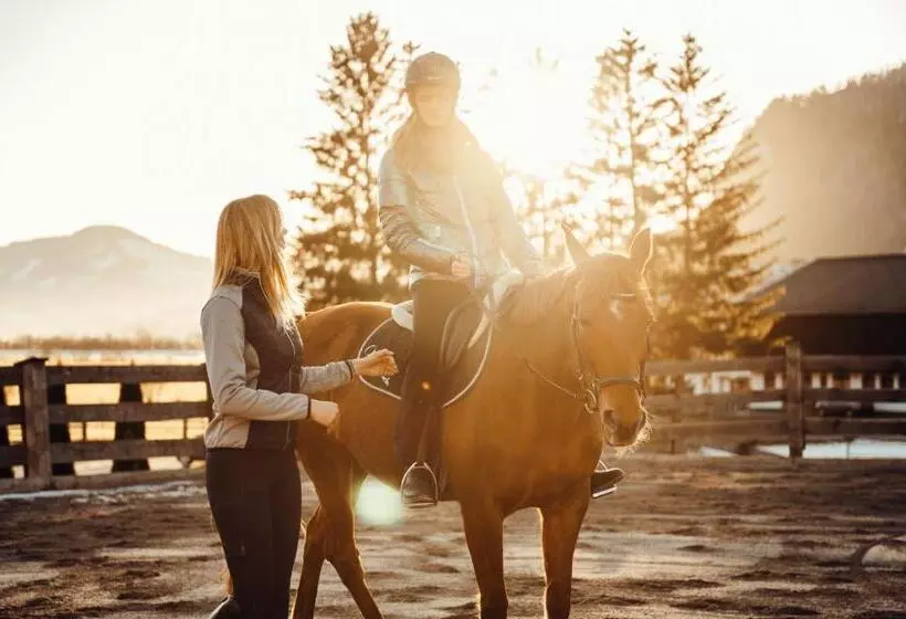 Erlebnisgut & Reiterhof Oberhabach