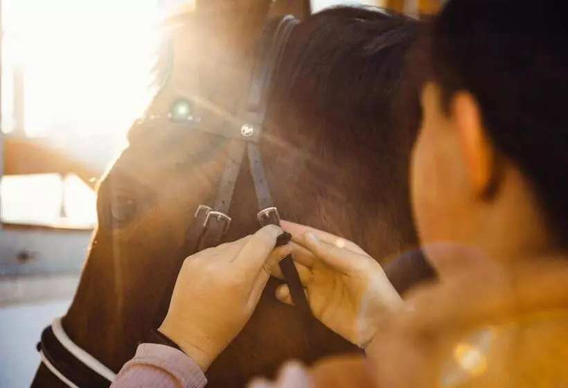 Erlebnisgut & Reiterhof Oberhabach
