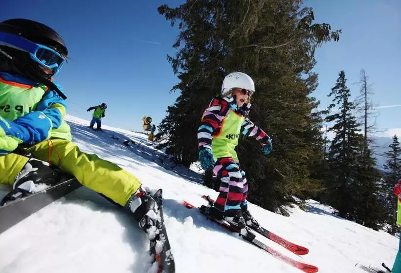 בית מלון כפרי Alpen Arnika