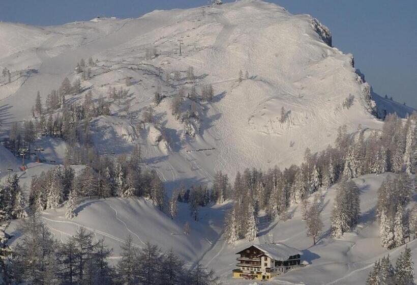 בית מלון כפרי Alpen Arnika