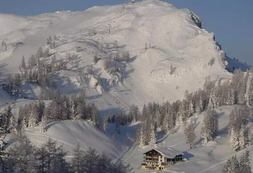 בית מלון כפרי Alpen Arnika