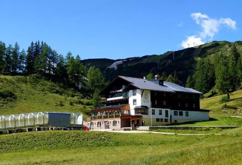 בית מלון כפרי Alpen Arnika