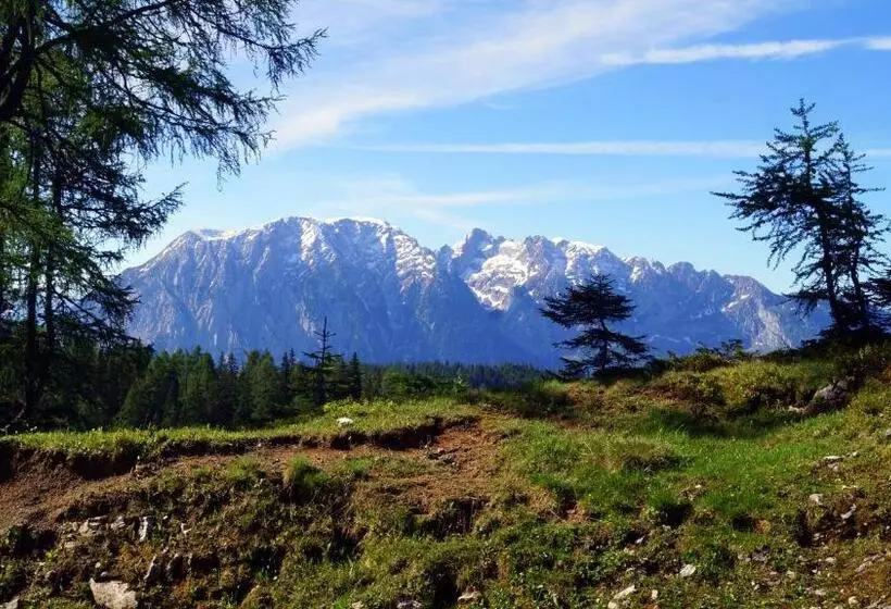 בית מלון כפרי Alpen Arnika