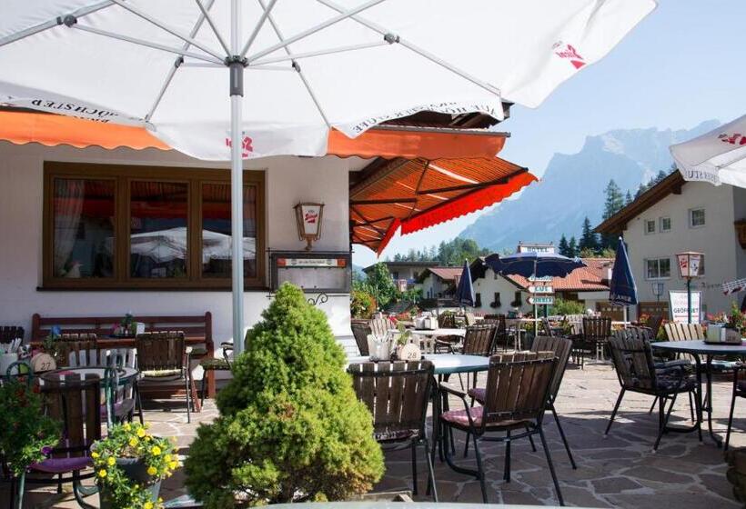 酒店 Alpina Regina