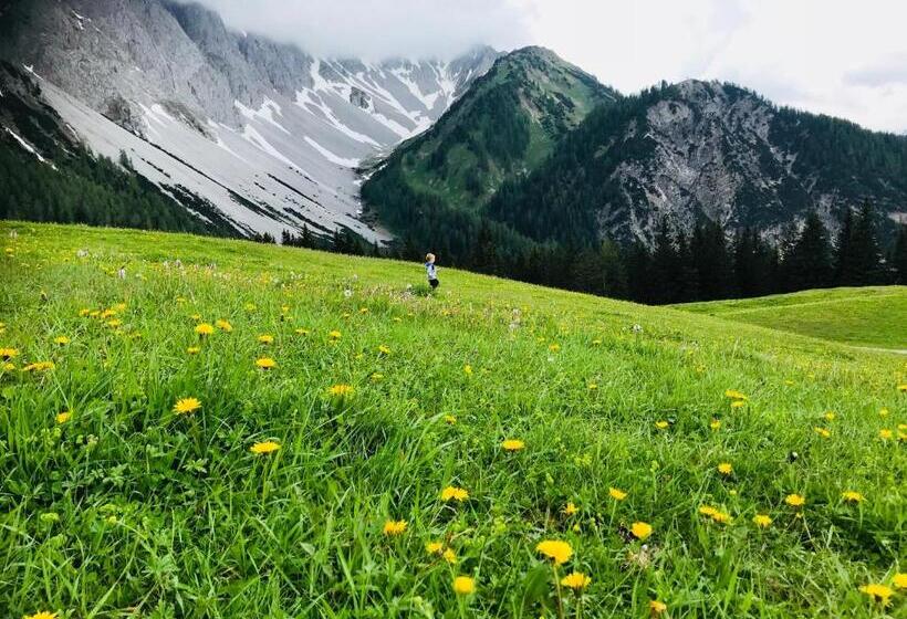 酒店 Alpina Regina