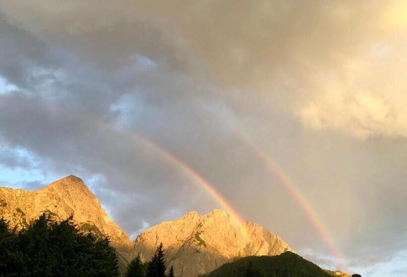 酒店 Alpina Regina