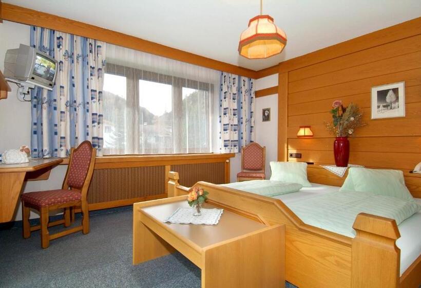 酒店 Alpina Regina