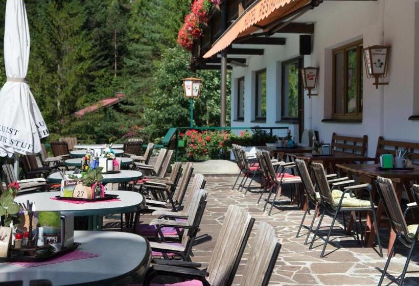 酒店 Alpina Regina