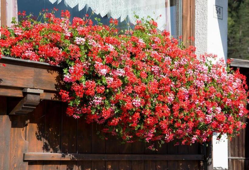 酒店 Alpina Regina