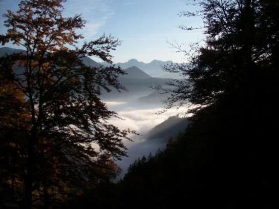 Allimann-Sportlerhof